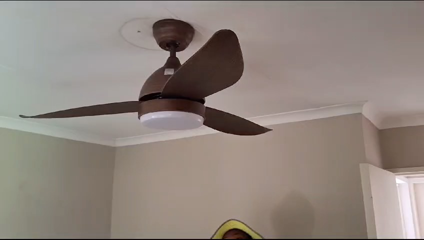 Testing a new ceiling fan for operation as well as different coloured lights.